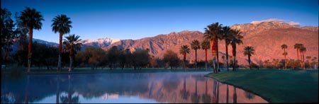 Mesquite - Mtn pan 2 copy