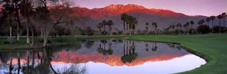 Mesquite Sunrise