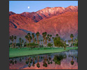 palm-springs-golf-course-photo